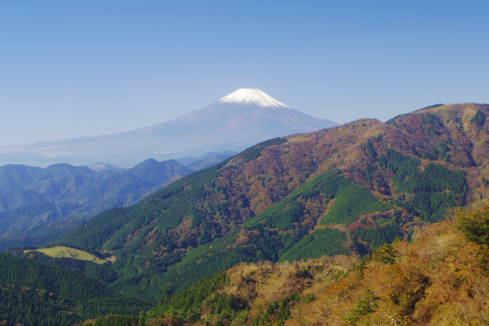 ��R��\���ڕx�m���䂩��́@��m���A�O�m���ƕx�m�R